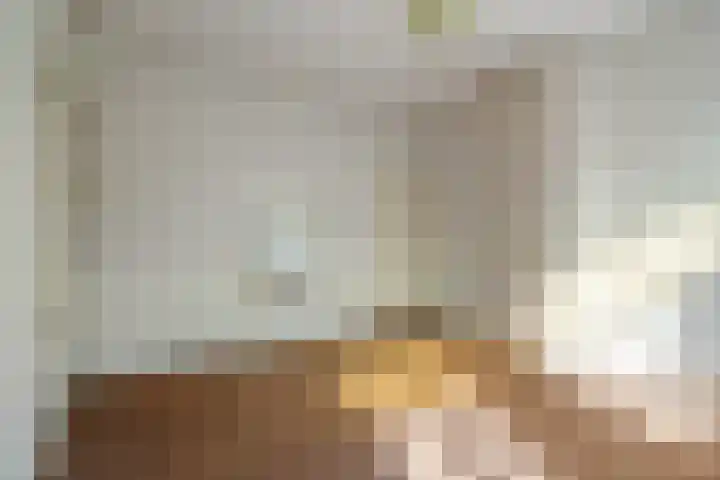 Driehoefijzersstraat 9 Breda thumbnail 30