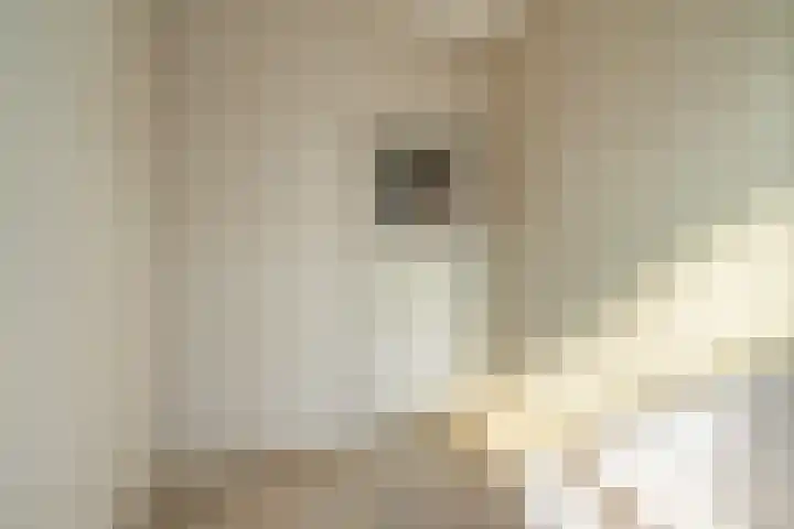 Driehoefijzersstraat 9 Breda thumbnail 32