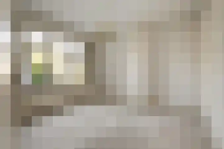 Driehoefijzersstraat 9 Breda thumbnail 36