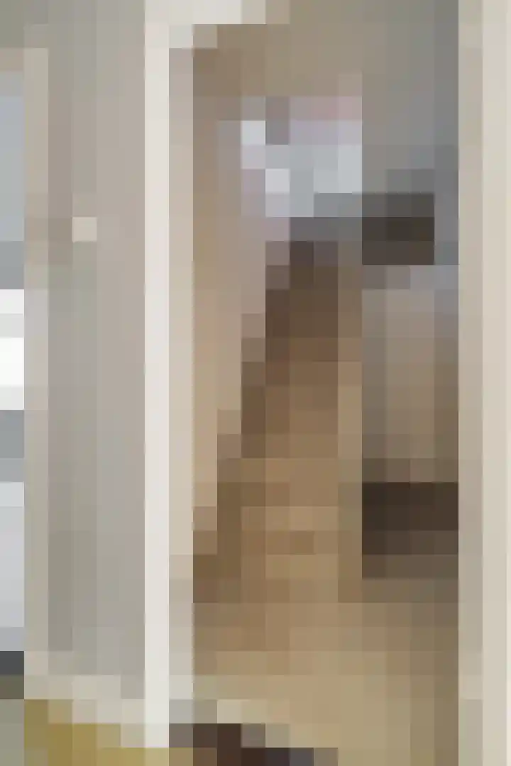 Driehoefijzersstraat 9 Breda thumbnail 39