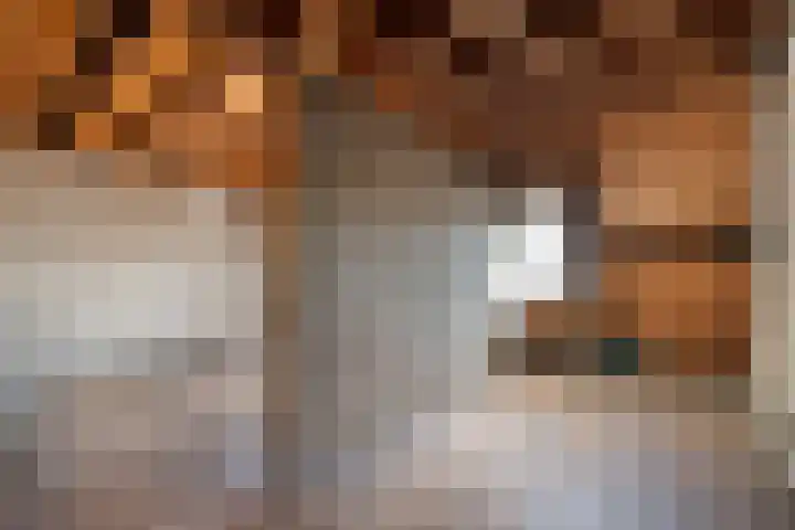 Driehoefijzersstraat 9 Breda thumbnail 43