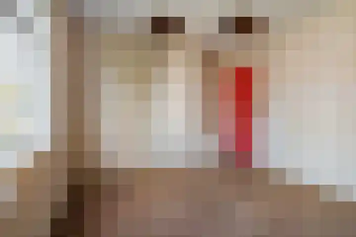 Driehoefijzersstraat 9 Breda thumbnail 47
