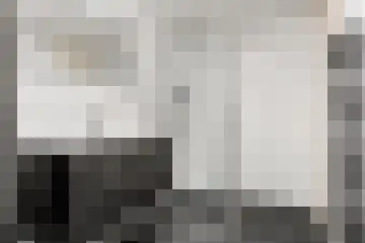 Driehoek 1 D Ede thumbnail 18