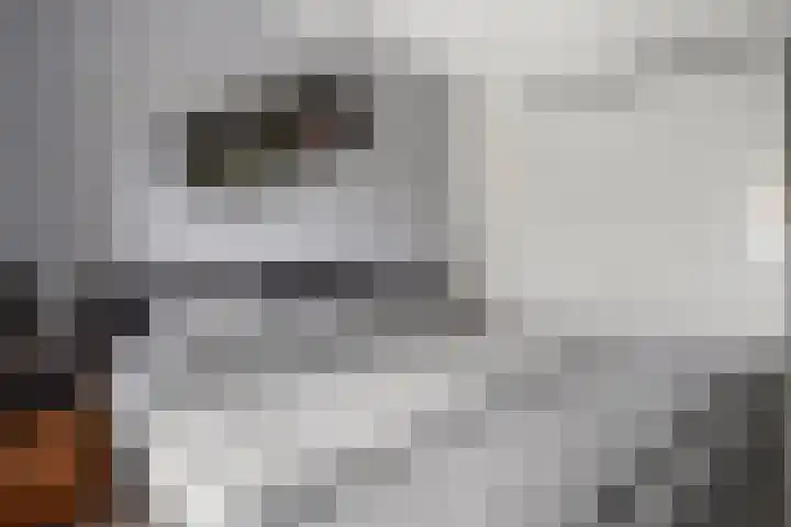 Driehoek 1 D Ede thumbnail 20