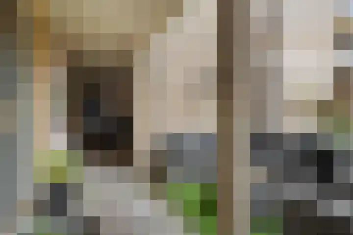Driehoek 1 D Ede thumbnail 24