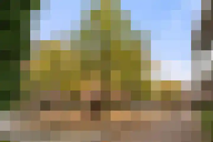 Driehoek 1 D Ede thumbnail 31
