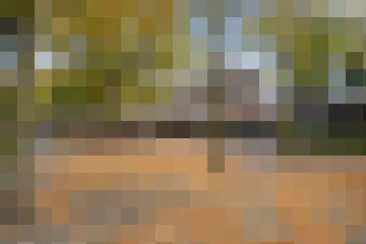 Driehoek 1 D Ede thumbnail 32