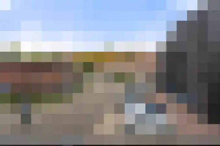 Driehoek 1 D Ede thumbnail 8
