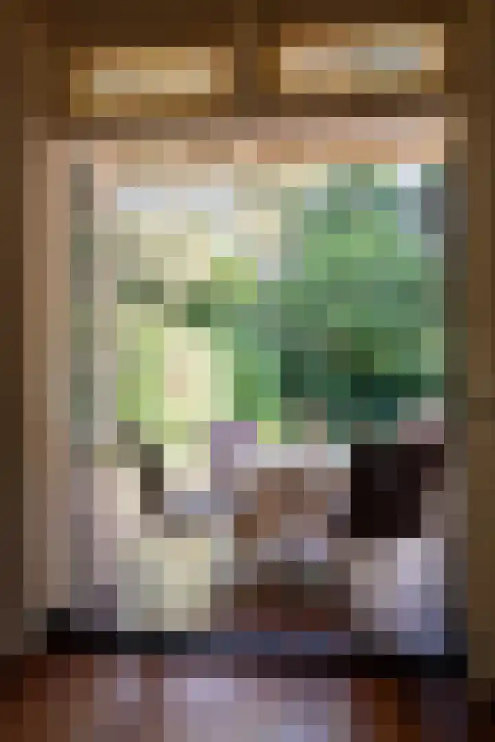 Driehoek 10 Apeldoorn thumbnail 13