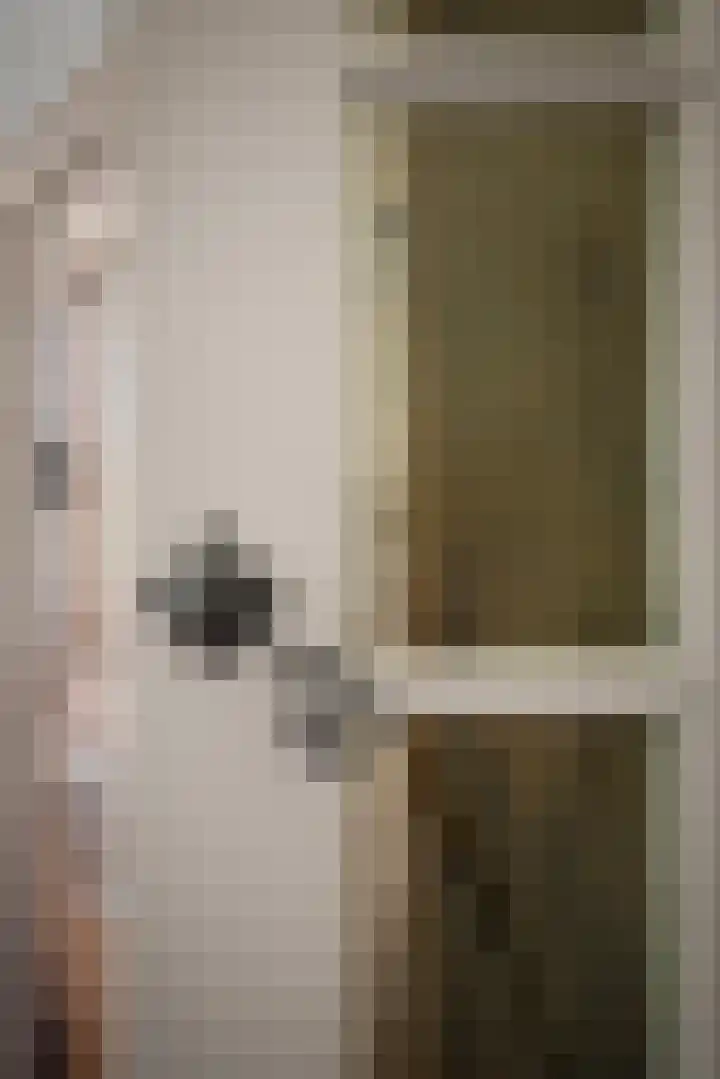Driehoek 10 Apeldoorn thumbnail 14