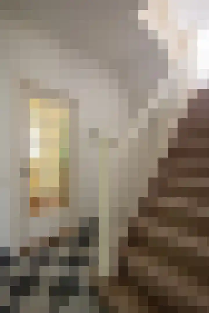 Driehoek 10 Apeldoorn thumbnail 17