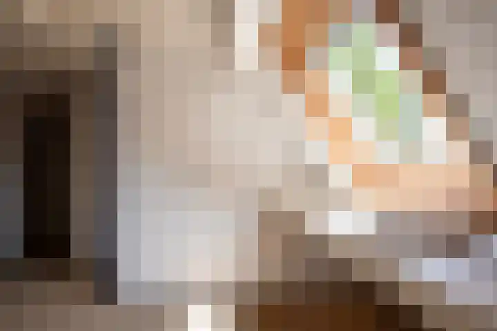 Driehoek 10 Apeldoorn thumbnail 33
