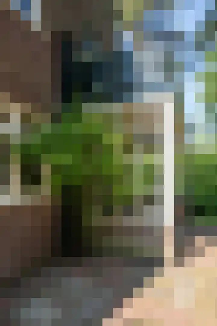 Driehoek 10 Apeldoorn thumbnail 37