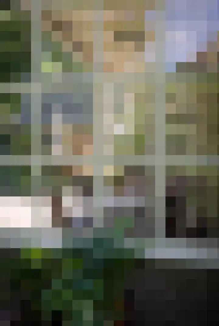 Driehoek 10 Apeldoorn thumbnail 38