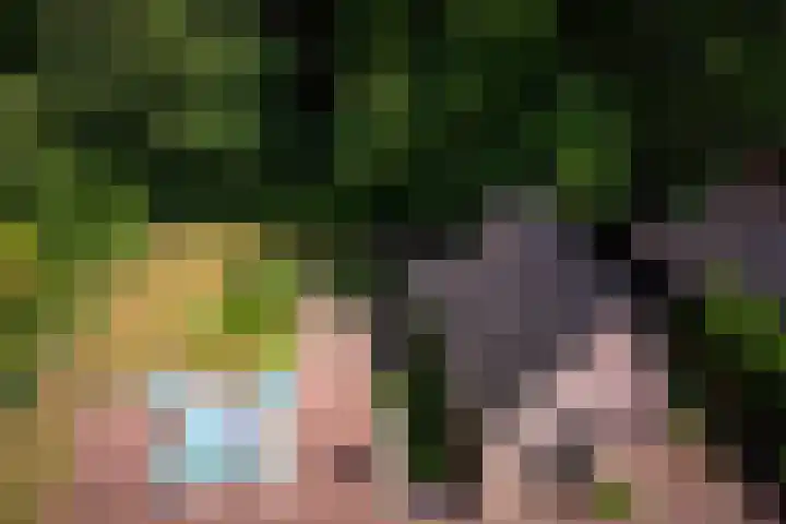 Driehoek 10 Apeldoorn thumbnail 39