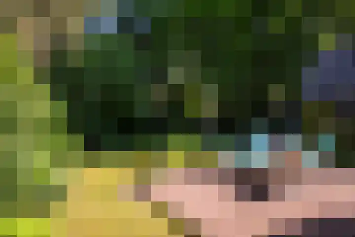 Driehoek 10 Apeldoorn thumbnail 4