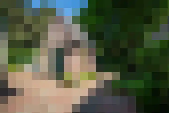 Driehoek 10 Apeldoorn thumbnail 40