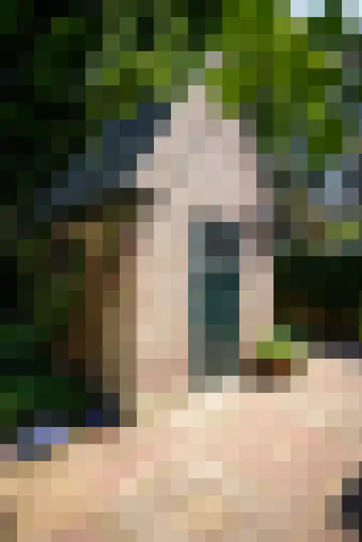 Driehoek 10 Apeldoorn thumbnail 41