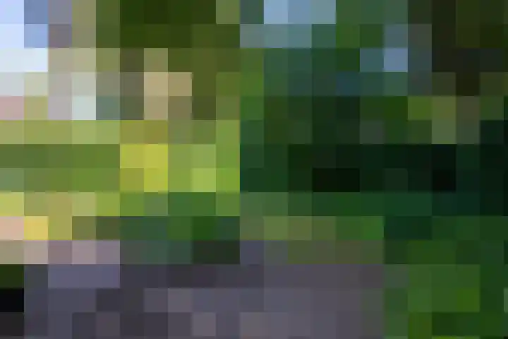 Driehoek 10 Apeldoorn thumbnail 42