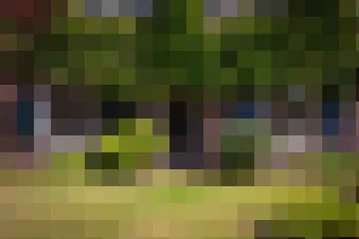 Driehoek 10 Apeldoorn thumbnail 43