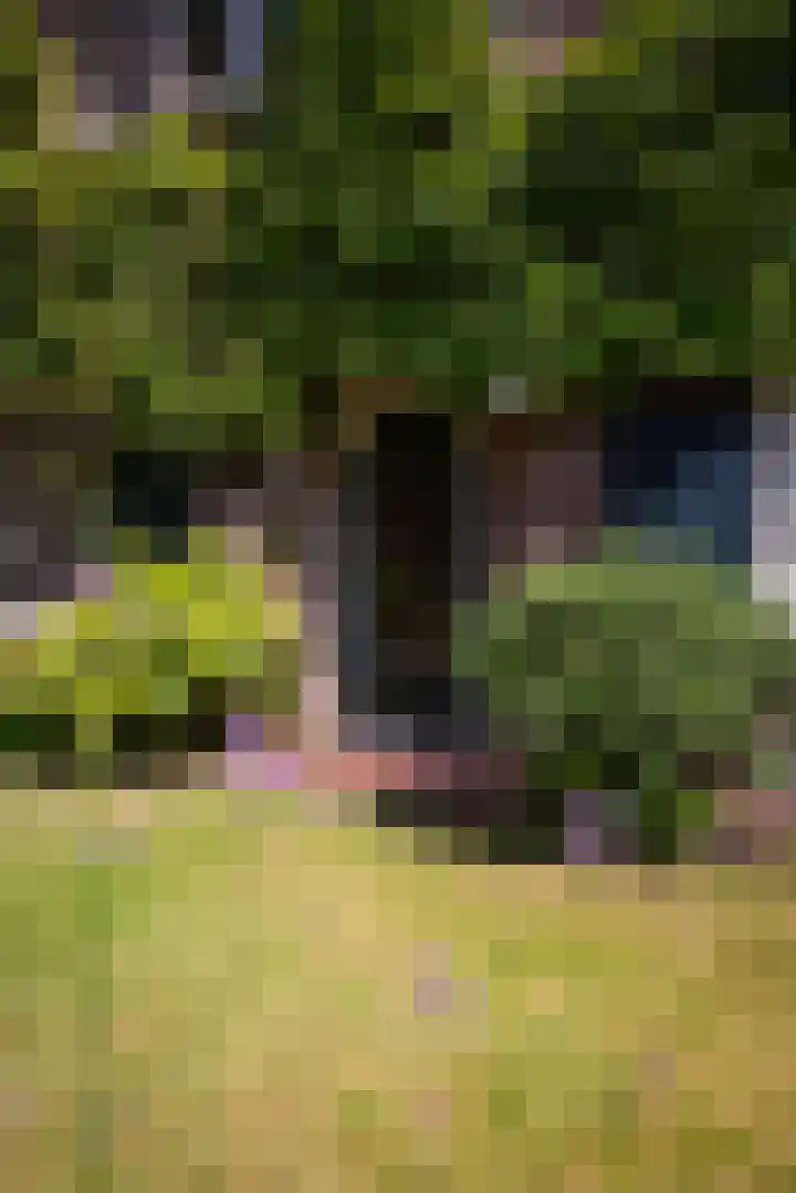Driehoek 10 Apeldoorn thumbnail 44