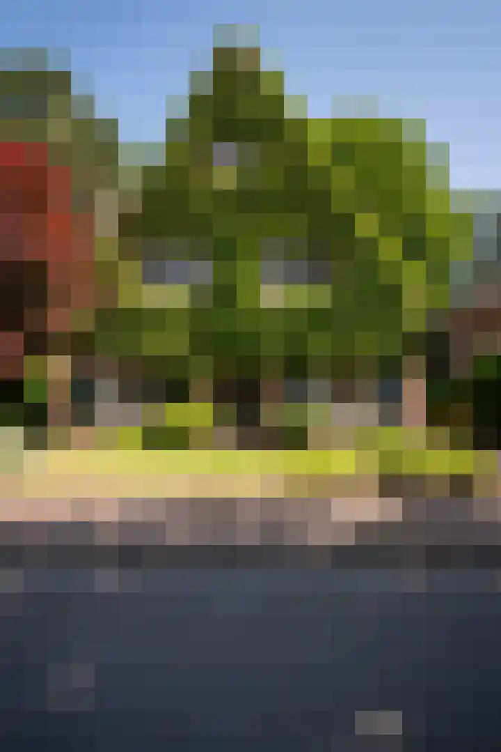 Driehoek 10 Apeldoorn thumbnail 45