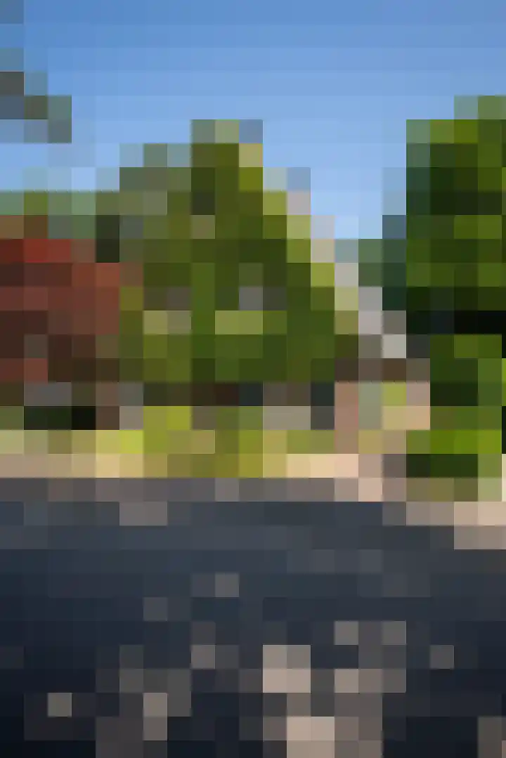 Driehoek 10 Apeldoorn thumbnail 46
