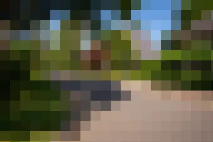 Driehoek 10 Apeldoorn thumbnail 48