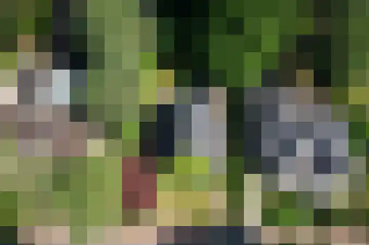 Driehoek 10 Apeldoorn thumbnail 49