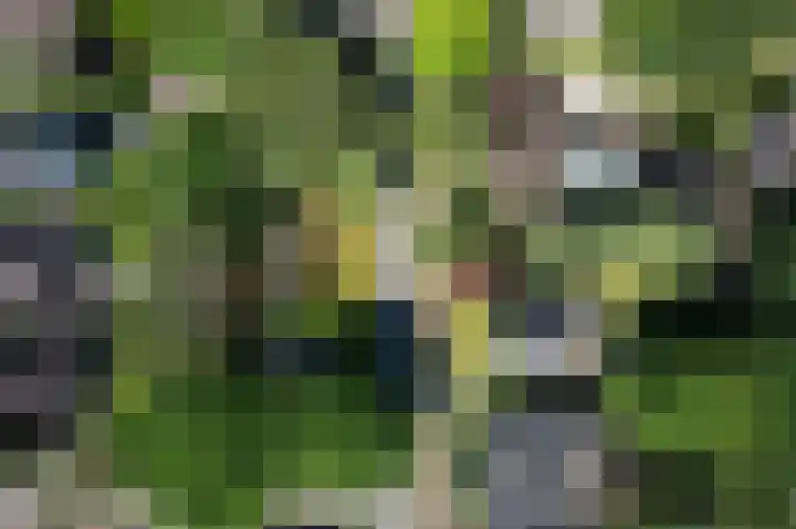 Driehoek 10 Apeldoorn thumbnail 50