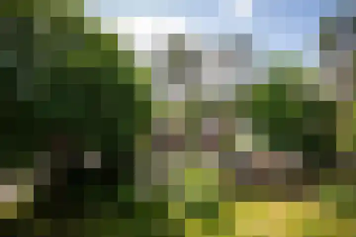 Driehoek 10 Apeldoorn thumbnail 51