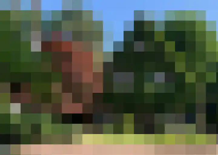 Driehoek 10 Apeldoorn thumbnail 53