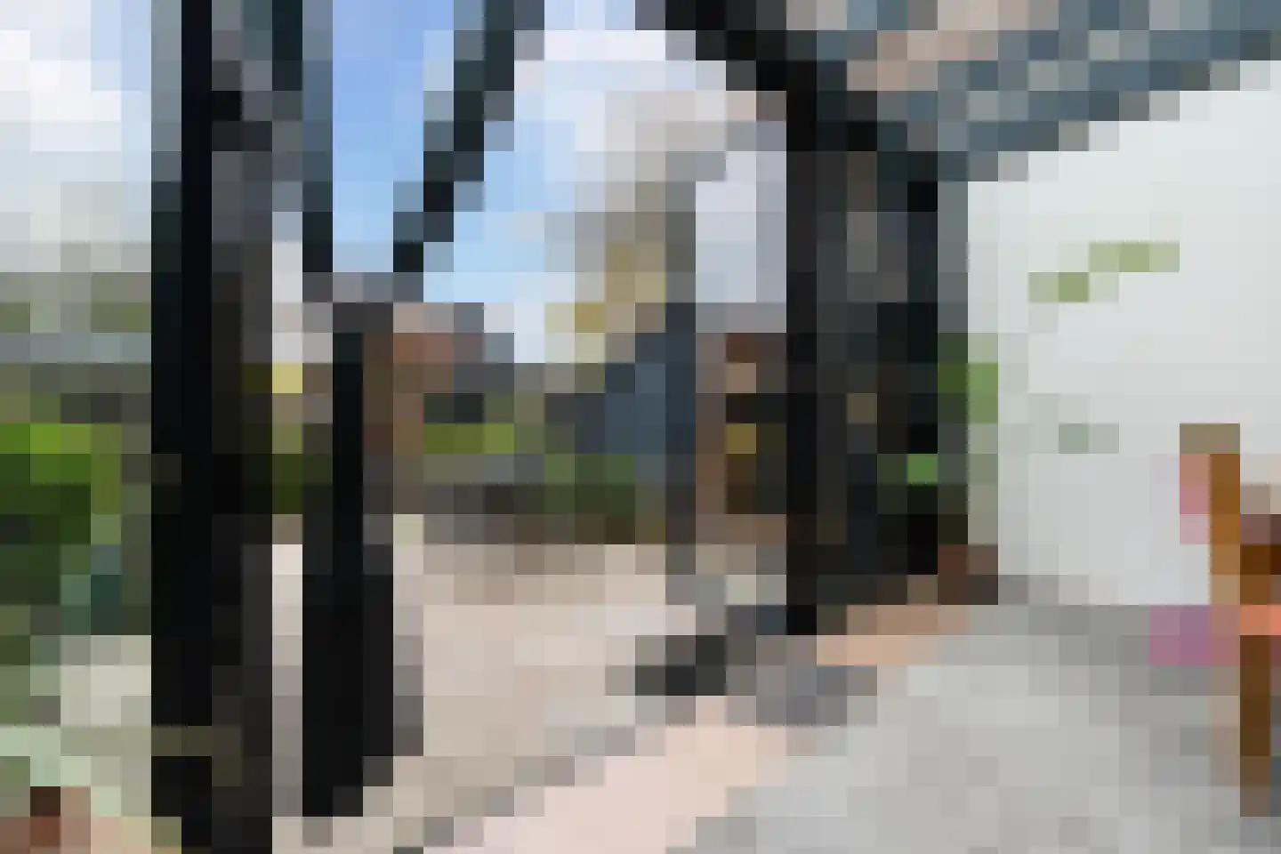 Driehoek 25 Dordrecht thumbnail 22