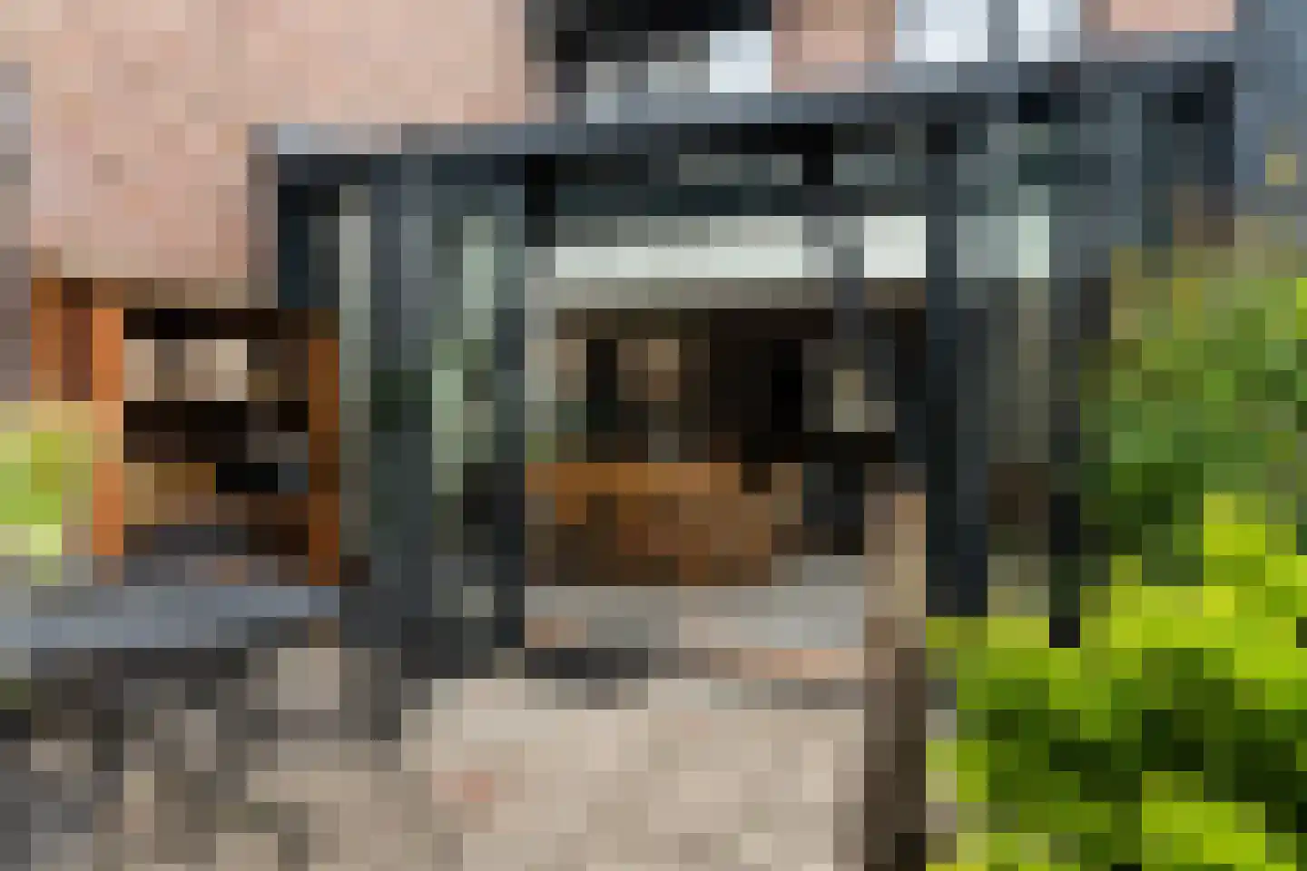 Driehoek 25 Dordrecht thumbnail 23