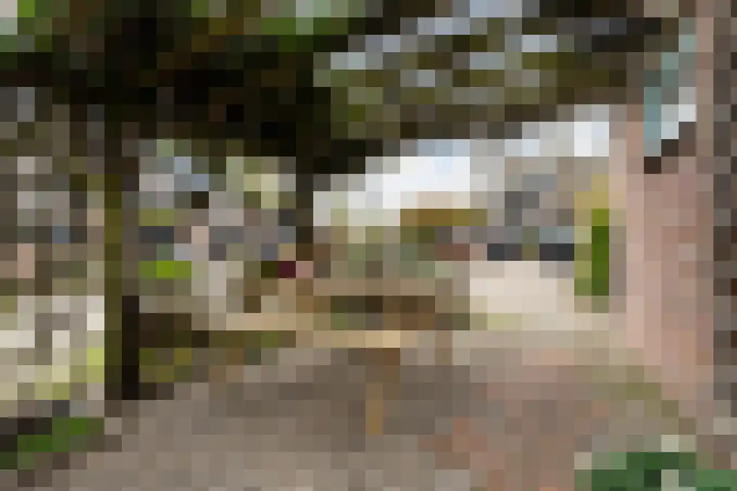 Driehoek 25 Dordrecht thumbnail 65