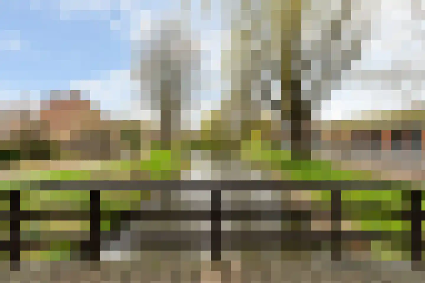 Driehoek 25 Dordrecht thumbnail 71