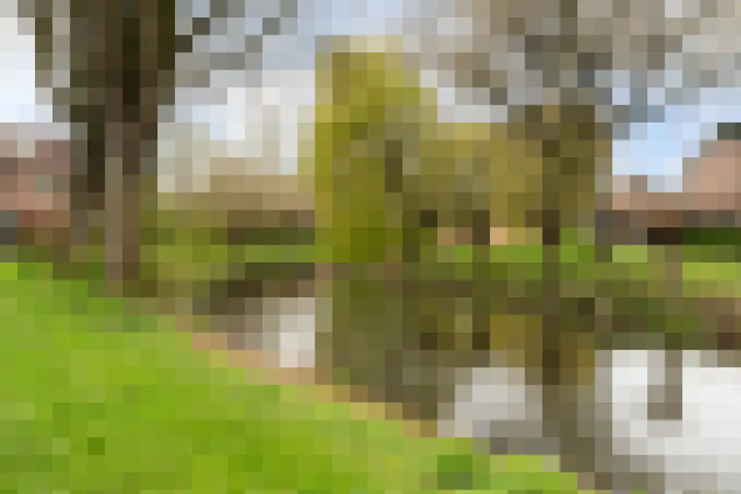 Driehoek 25 Dordrecht thumbnail 72