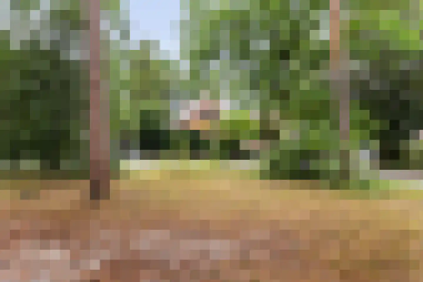 Driehoek 29 Apeldoorn thumbnail 4