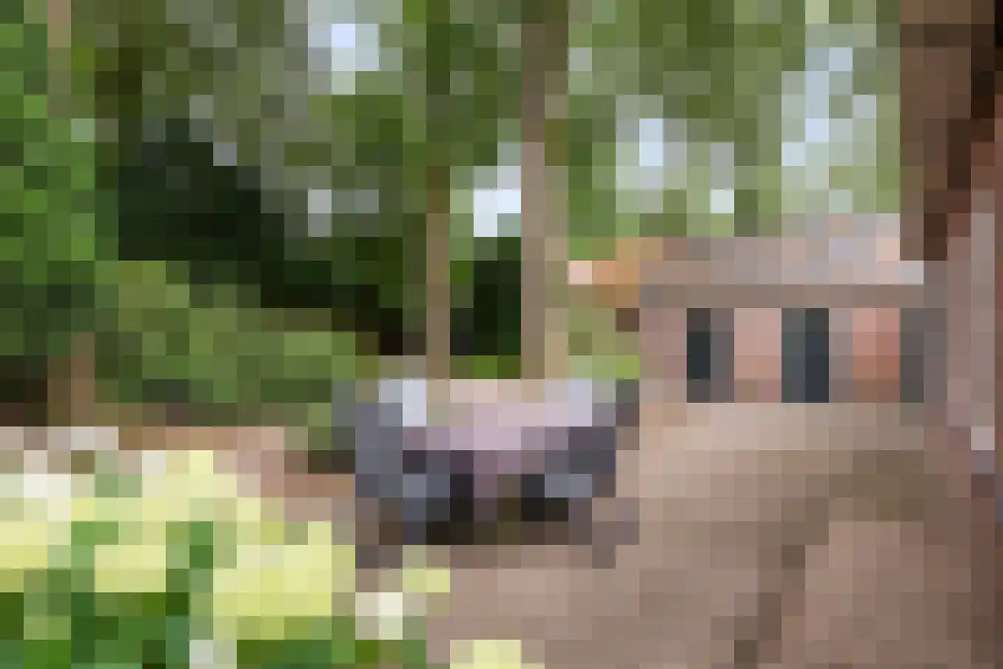Driehoek 29 Apeldoorn thumbnail 46