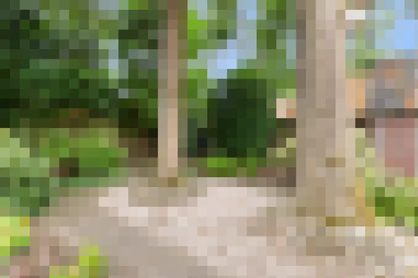 Driehoek 29 Apeldoorn thumbnail 48