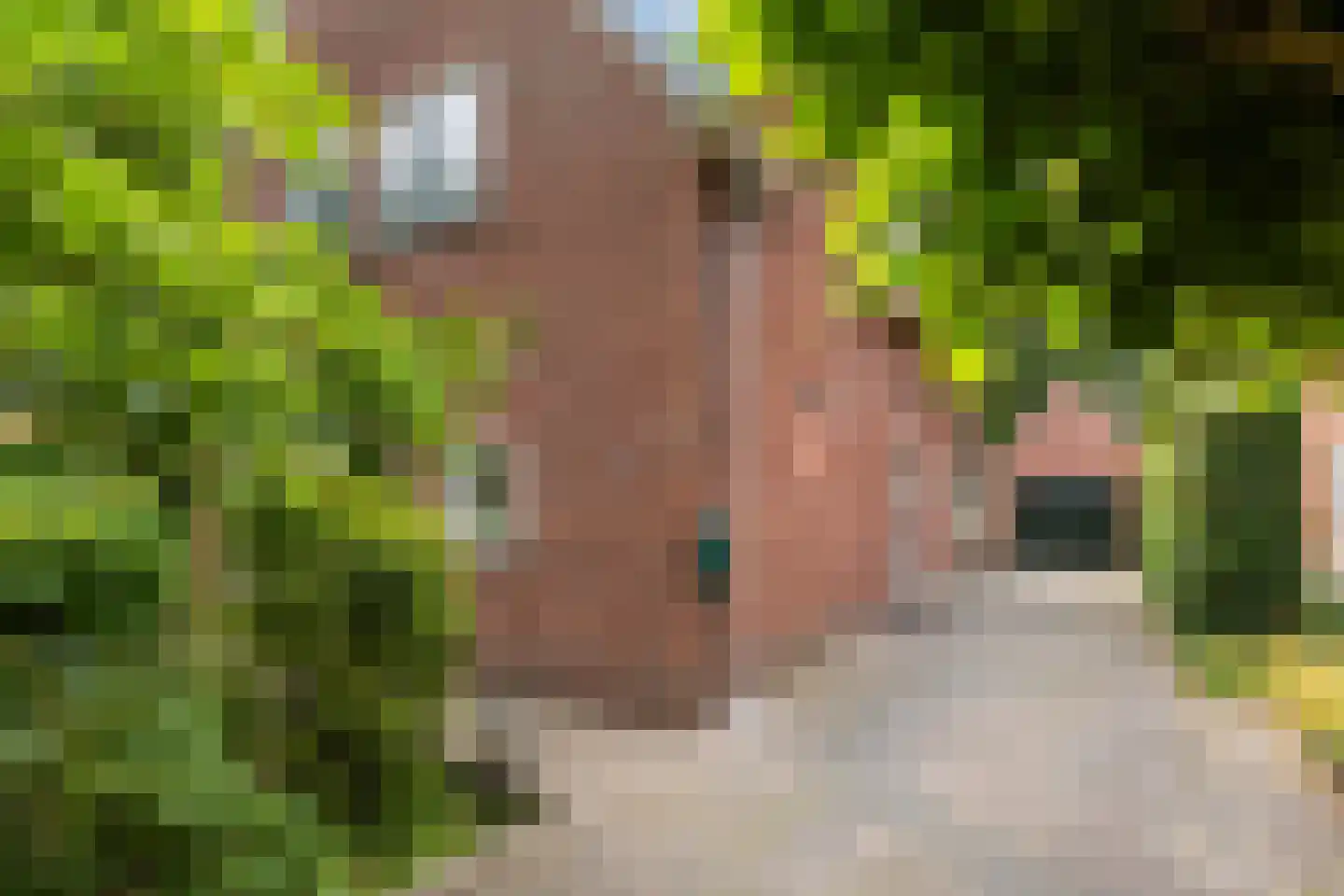 Driehoek 29 Apeldoorn thumbnail 5