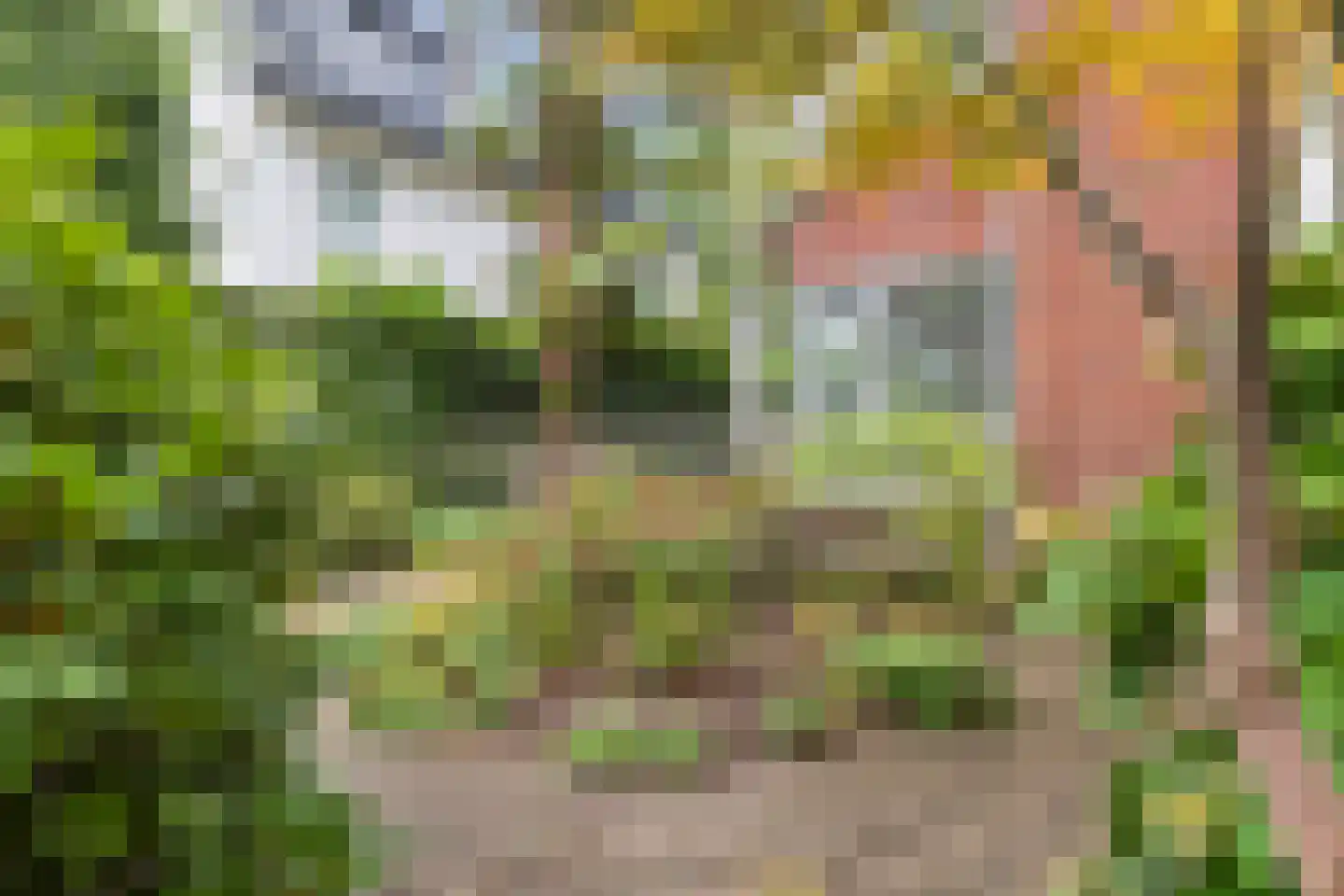 Driehoek 29 Apeldoorn thumbnail 50