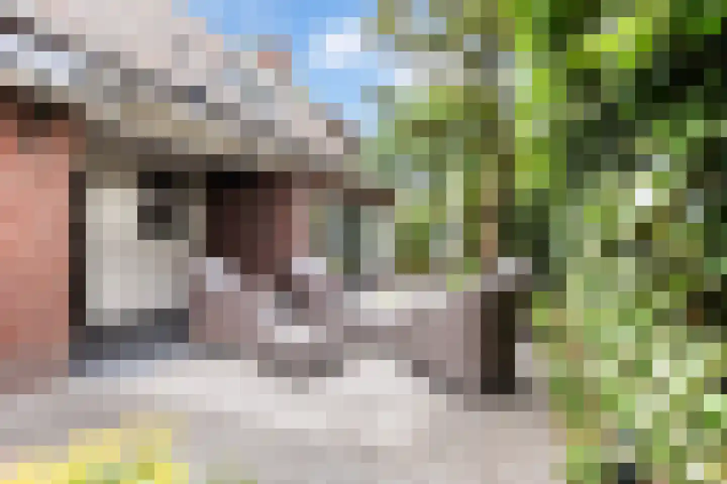 Driehoek 29 Apeldoorn thumbnail 51