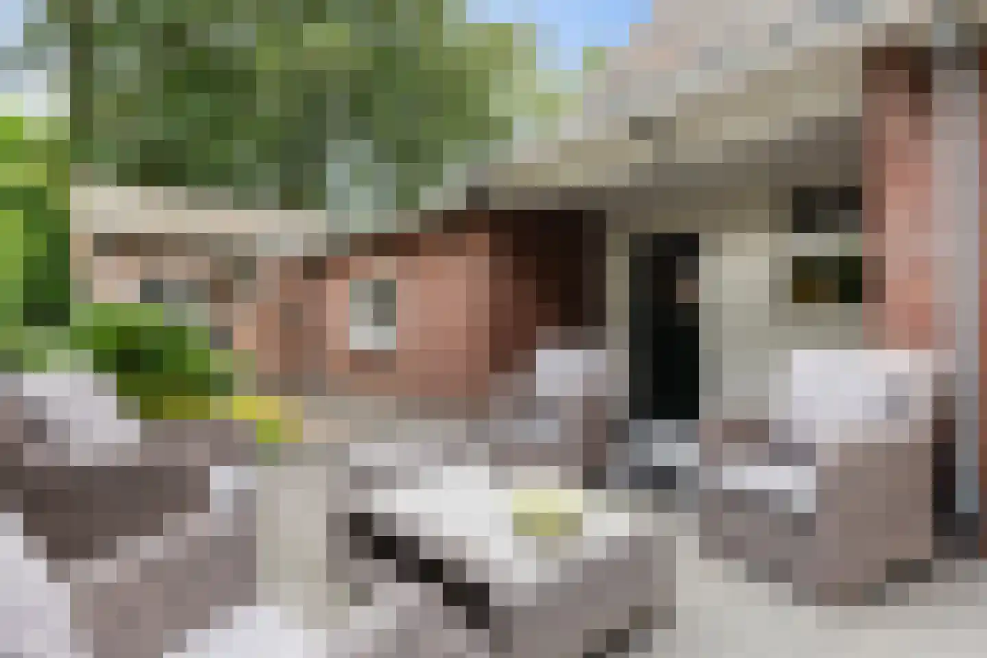 Driehoek 29 Apeldoorn thumbnail 52