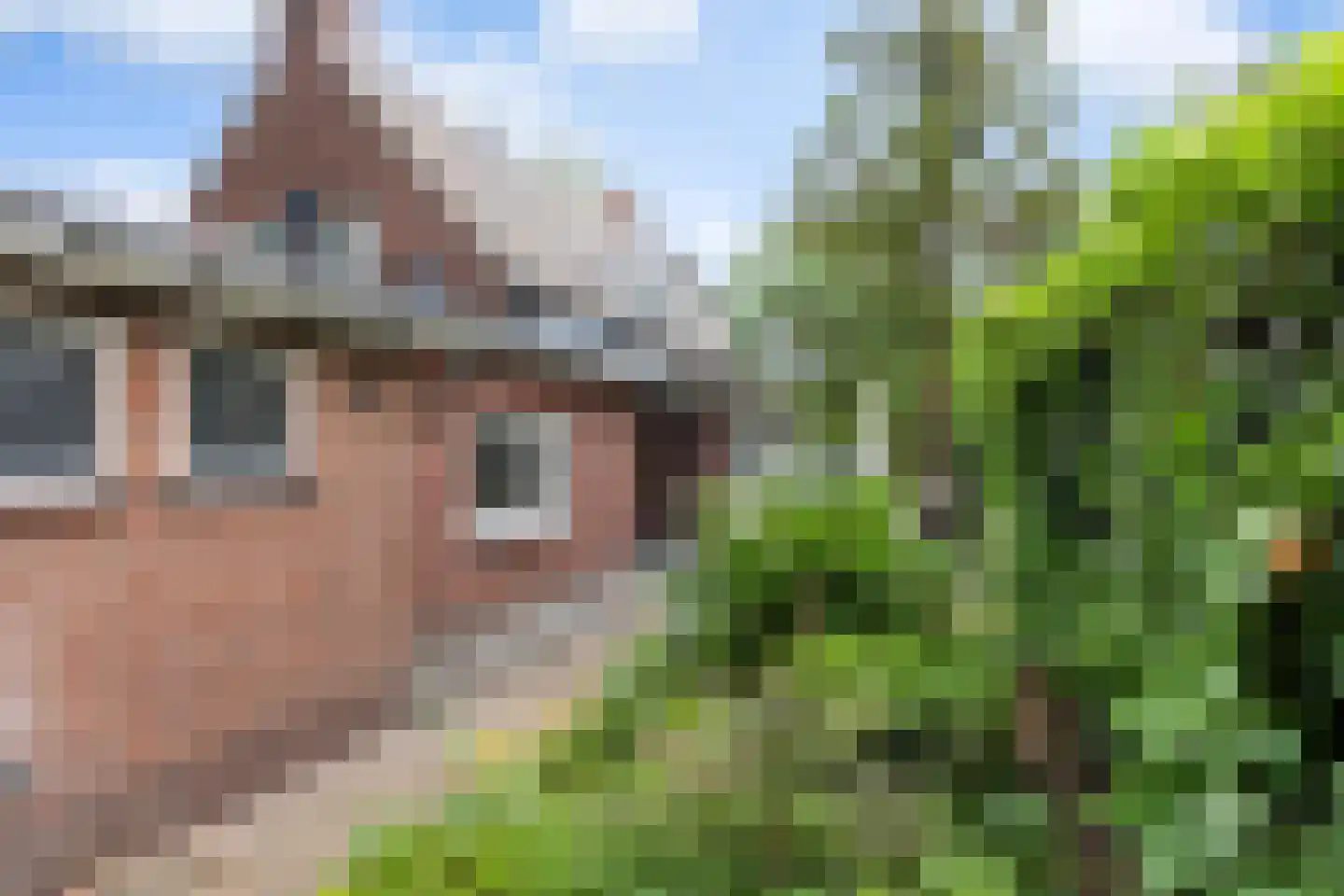 Driehoek 29 Apeldoorn thumbnail 53