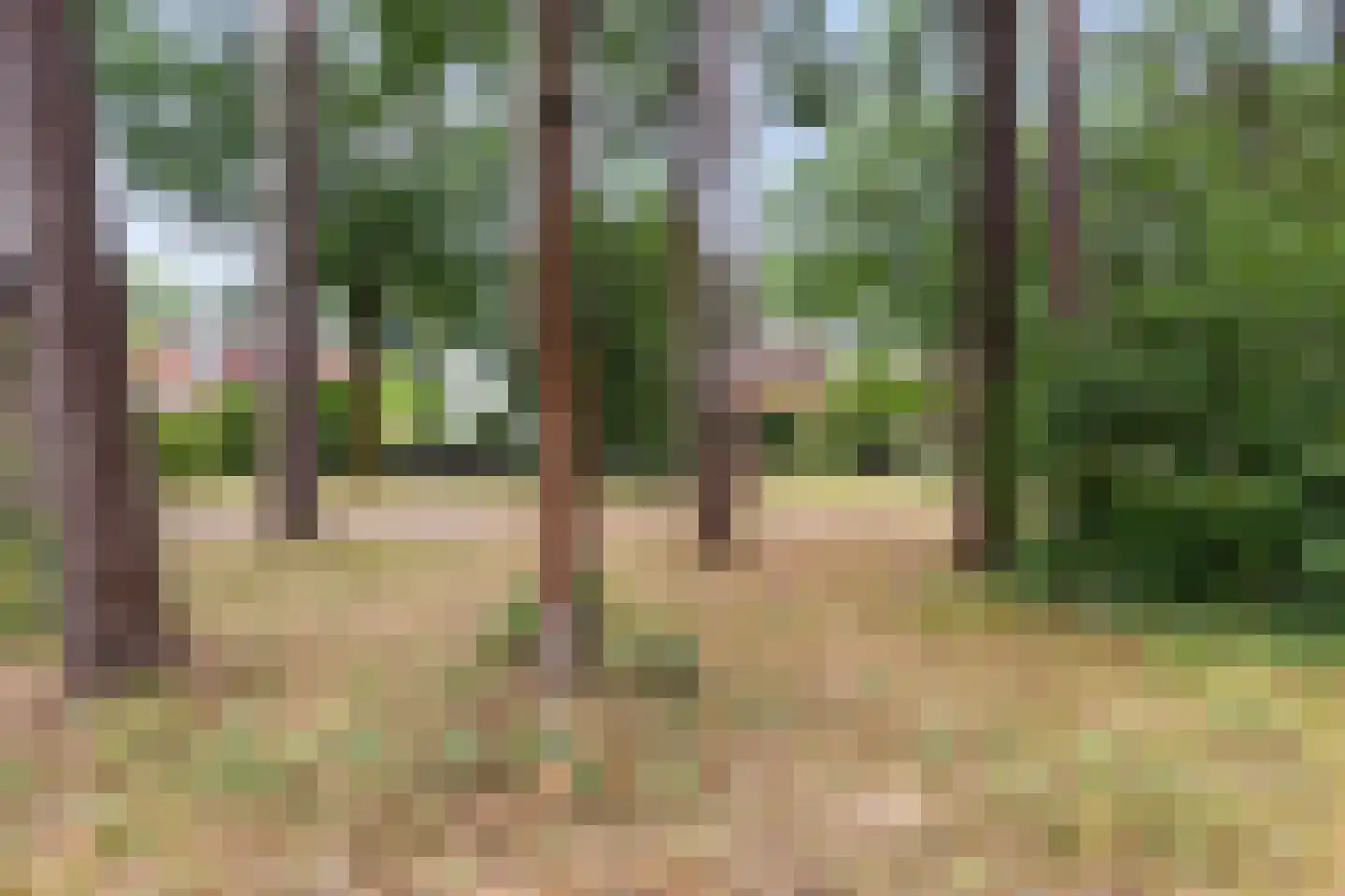 Driehoek 29 Apeldoorn thumbnail 55
