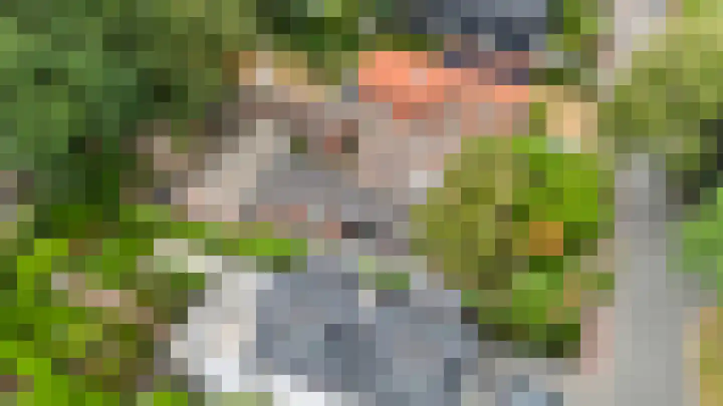 Driehoek 29 Apeldoorn thumbnail 56