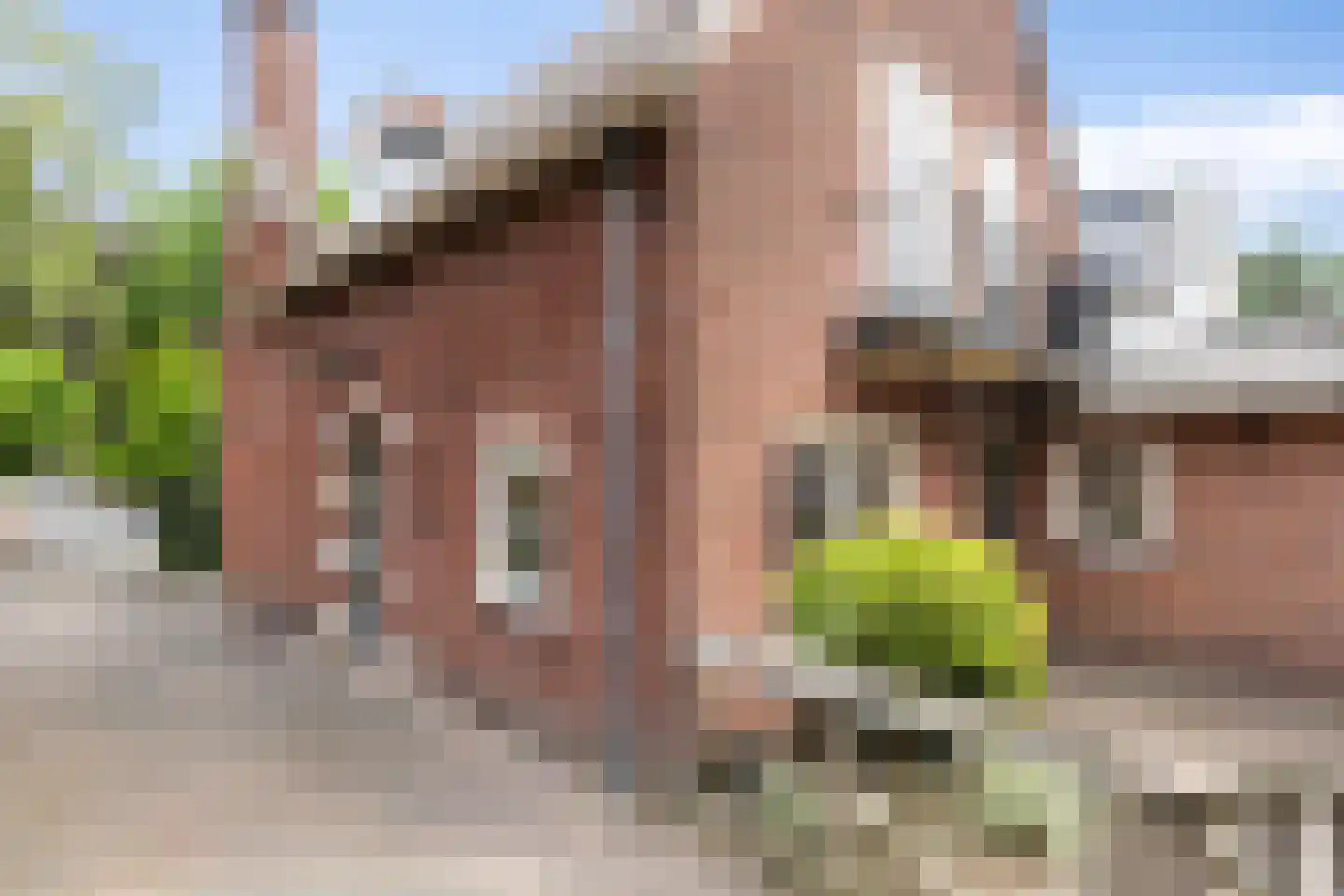 Driehoek 29 Apeldoorn thumbnail 6