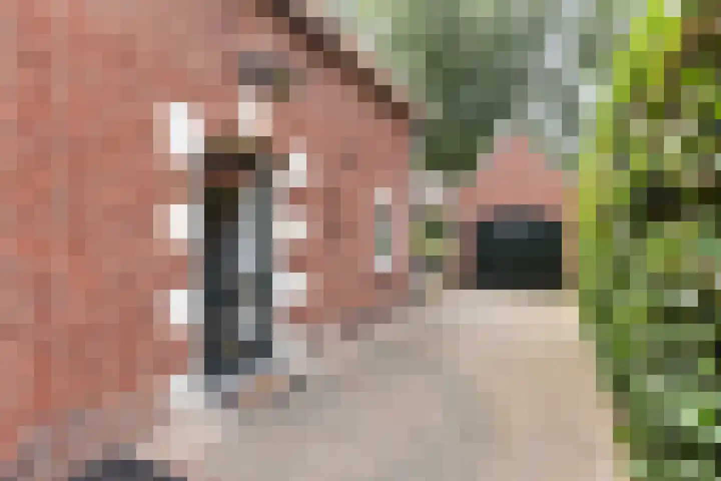Driehoek 29 Apeldoorn thumbnail 7