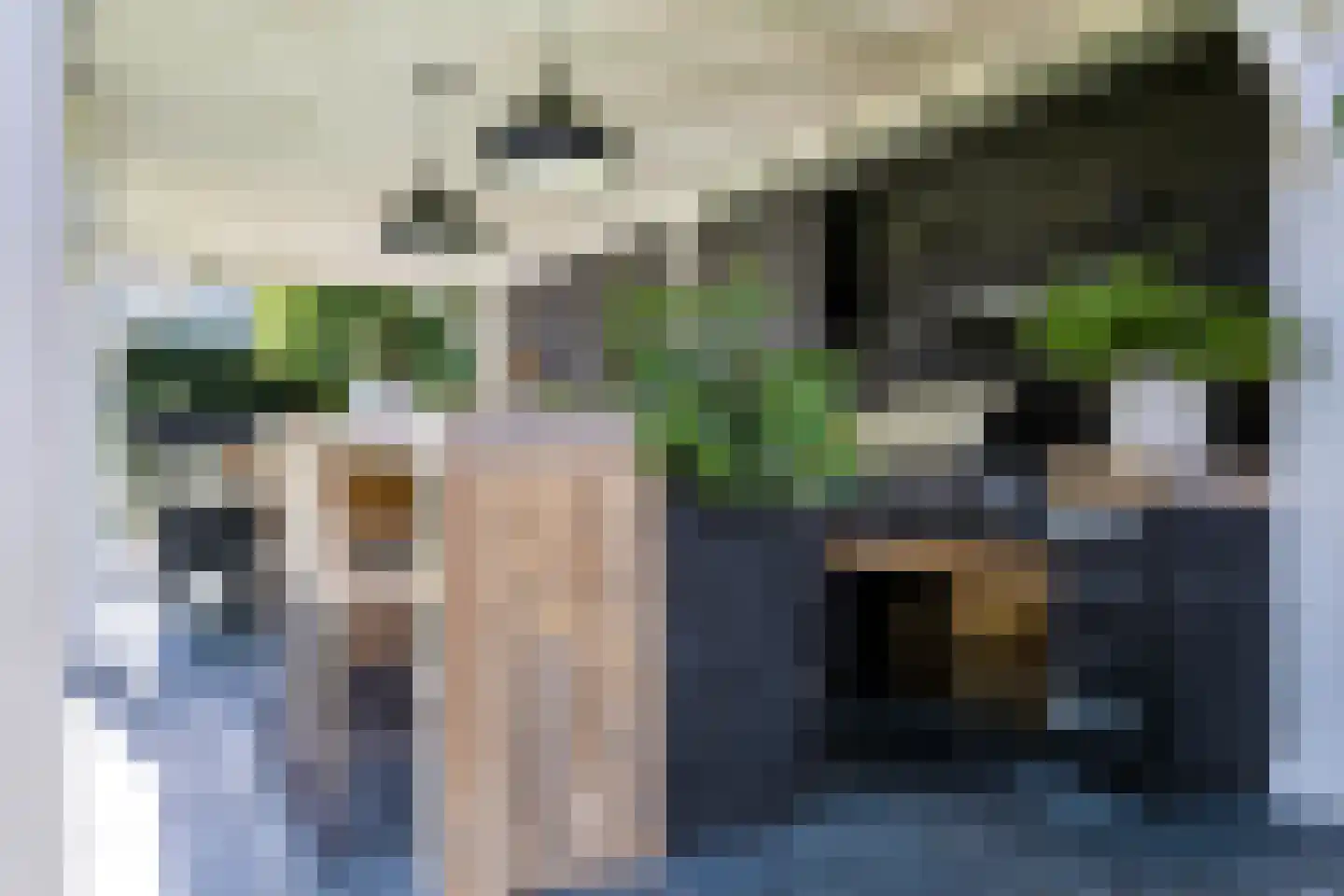 Driehoek 33 Apeldoorn thumbnail 46
